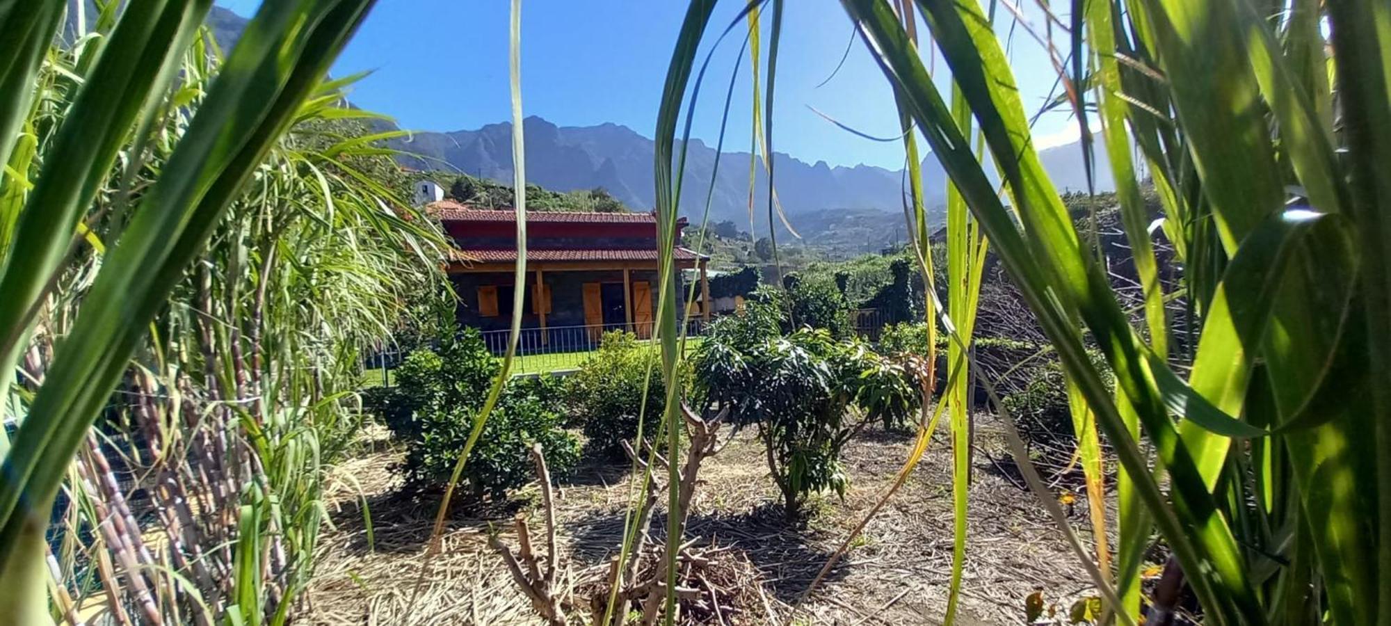 Refugio Do Limoeiro Villa Sao Vicente  Ngoại thất bức ảnh