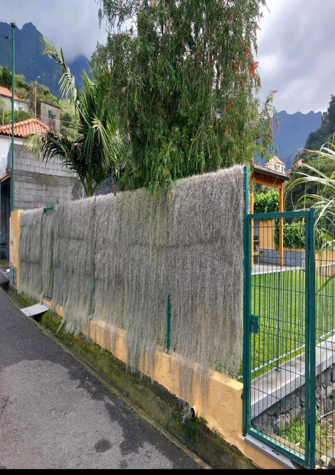 Refugio Do Limoeiro Villa Sao Vicente  Ngoại thất bức ảnh